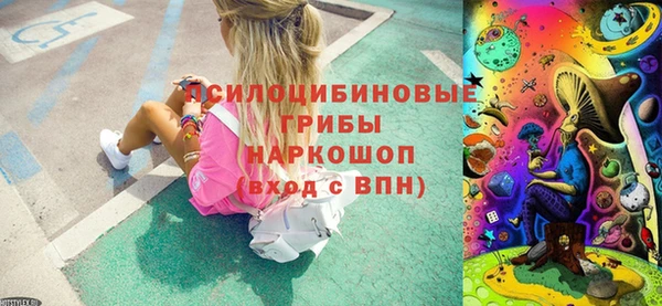 скорость Бородино