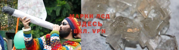 PSILOCYBIN Семёнов