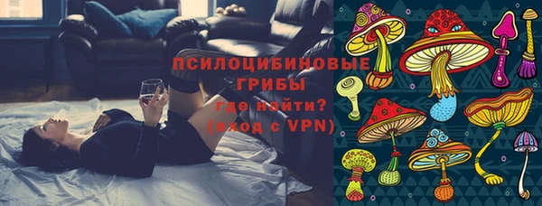 ПСИЛОЦИБИНОВЫЕ ГРИБЫ Волоколамск